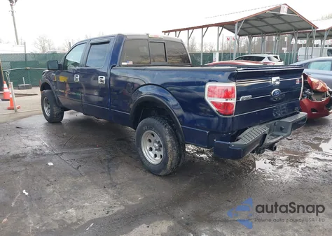 2010 Ford F-150 Fx4/Harley-Davidson/King Ranch/Lariat/Platinum/Xl/Xlt from USA, damaged, VIN 1FTFW1EV6AFA41394